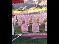 Lagu Kargil Vijay Diwas Status