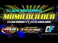 DJ MAMA OLA OLA || SLOW BASS HOREG || BY DJ FAUZI OFFICIAL