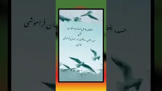 Music Gaming Whatsappstatus Humor Pubgmobile Ytshorts New Zodiac Kpop Edit مص لايك رمضان 