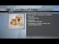 Vet Clinic Urgent Care now open in Waterloo