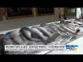 Wilmington s oldest seafood market to remain open Seabird s Dean Neff takes the reins