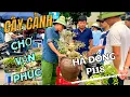 Download Lagu Cây Cảnh: Chợ Vạn Phúc-Hà Đông P118.