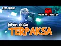 Download Lagu TERPAKSA - INTAN CACA - NEW MONATA - LIVE AN PROMOSINDO BLITAR