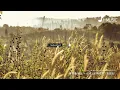 盧潤澤/宮巴 - 土坡上的狗尾草 (雙語版)『你也搶過吃剩的骨頭，你也睡過下雨的街頭，我還沒能給你好生活，哎呀你咋走得我莫法留。』【動態歌詞MV】
