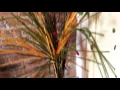 Manistee Massage Therapy