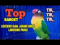 Download Lagu SUARA BURUNG LOVEBIRD NGEKEK PANJANG TIK TIK NGETIK TAJAM TOP BANGET BUAT PANCINGAN LOVEBIRD FIGHTER