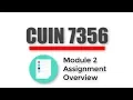 Module 2 Assignment Overview