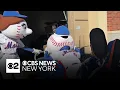 Mr and Mrs Met help pack up equipment for spring training