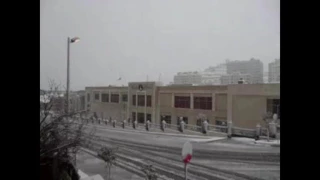                                   عمرو دياب     جماله   فيديو كليب     دندنها