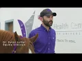 Veterinary Health Center - Equine Performance Medicine