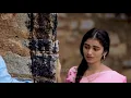 Download Lagu CHILAKA PACHA CHEERA KATTI SONG WHATSAPP STATUS