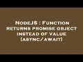 NodeJS Function returns promise object instead of value