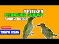 Download Lagu MASTERAN PIJANTUNG GUNUNG COCOK BUAT BURUNG JUARA