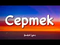 Download Lagu Alif Cepmek - Cepmek (Cepat Mencintai Kamu)| Lirik Lagu