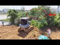 Download Lagu Interesting project, Bulldozer KOMATSU Clearing Land And Fore's Tree big with Dump truck Unloading