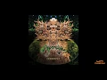 Download Lagu Shpongle - The Magumba State