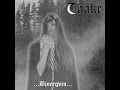 Over Bjoergvin Graater Himmerik VII - Taake