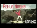 pehla nasha // bollywood lofi chillhop