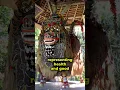 Download Lagu Barong: Bali's Guardian Spirit in Myth and Dance
