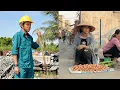 Download Lagu Huyen Harvests Eggs From Her Small Farm, Sells Them at the Market, and Invites De for Dinner