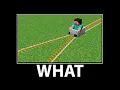 WAIT WHAT - Minecraft #34