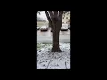 Wintry mix in Cypress TX