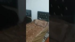 هلالي يبغى يذبح اخيه عشان قاله فاشل 