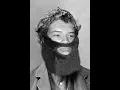 APUSH John Muir Project 2018