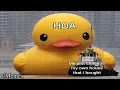 AN HOUR OF