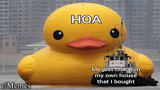 AN HOUR OF