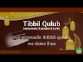 Download Lagu Tibbil Qulub - Instrumen (karaoke lirik)