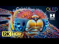 Download Lagu 12K HDR 240 fps - Dolby Vision OLED TEST Video (4K / 8K TV)