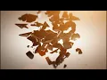 H.U.V.A. Network - Dissolving Time [Music Video]