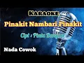PINAKIT NAMBARI PINAKIT | CIPT : PINTA BANGUN KARAOKE LAGU KARO | NADA COWOK