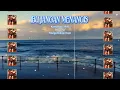 Download Lagu IBU JANGAN MENANGIS 1980