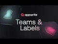 Teams and Labels in Appwrite
