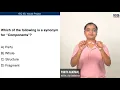Components 1EQ ISL Vocab
