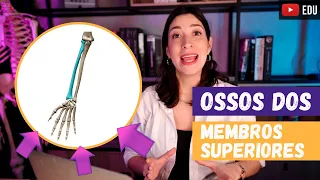 Ossos dos MEMBROS SUPERIORES! Revisão!