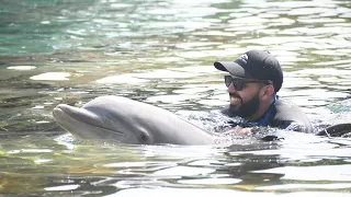 Dolphin Relate at Starfish Lagoon - Discovery Cove - September 29, 2026
