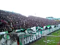 Download Lagu Sleman belongs to me