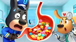 Eps.42 Super Pop Rocks🍬😆| Kota Air🌊| Kartun Anak | Kepala Polisi Labrador | BabyBus Bahasa Indonesia