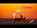 Tyla - Bliss (Lyrics)