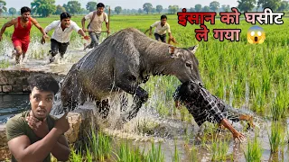 कुएं से निकलते ही जिंदा इंसान के ऊपर ही कूद के घसीट दिया 😱 फिर आगे जो हुआ देख आपके होश उड़ जाएंगे 