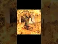 Download Lagu lirili larila… #brainrot #tiktok  #italianbrainrot #lirililarila