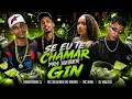 QUANDO EU TOMO GIN DE 10//- ROBERTINHO CL, MC NEGUINHO DO MORRO, MC NINA, DJ MALICIA