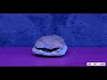 MC HotDog 熱狗 feat 蛋堡 Soft Lipa【不吃早餐才是一件很嘻哈的事 No Breakfast for Hip Hoppers】Official Music Video