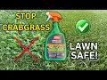 How to Kill Crabgrass Without Killing Your Lawn - Easy Safe Fix