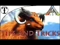 Fast Ovis Sheep Taming Guide Ark Survival Evolved Tips and Tricks