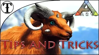 Fast Ovis Sheep Taming Guide Ark Survival Evolved Tips and Tricks