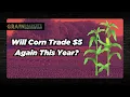 Corn Prices Sink While Fertilizer and Fuel Remain Elevated